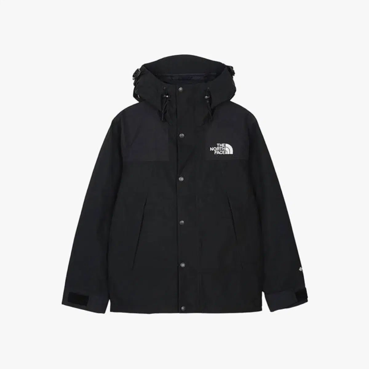 THE NORTH FACE ザノースフェイス ユニセックス Ecco エコー GORE-TEX ゴアテックス マウンテン 防水 ジャケット