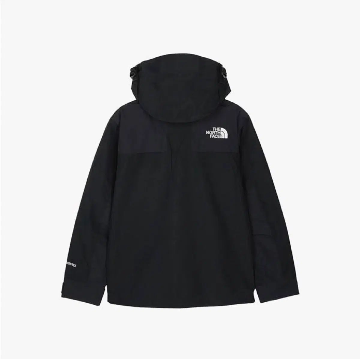 THE NORTH FACE ザノースフェイス ユニセックス Ecco エコー GORE-TEX ゴアテックス マウンテン 防水 ジャケット