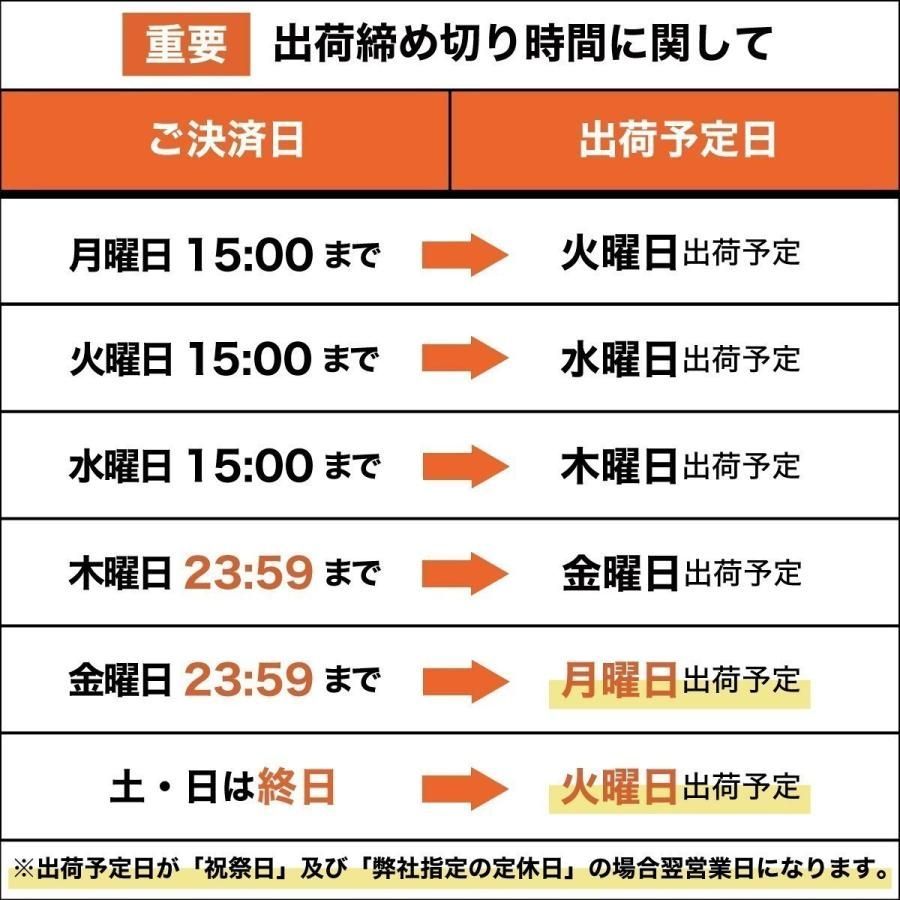  25年製 エアーバルブ付 205 60 R 16 スタッドレス4本セット スタッドレスタイヤ WINTER IL 868 16インチ スタッドレス