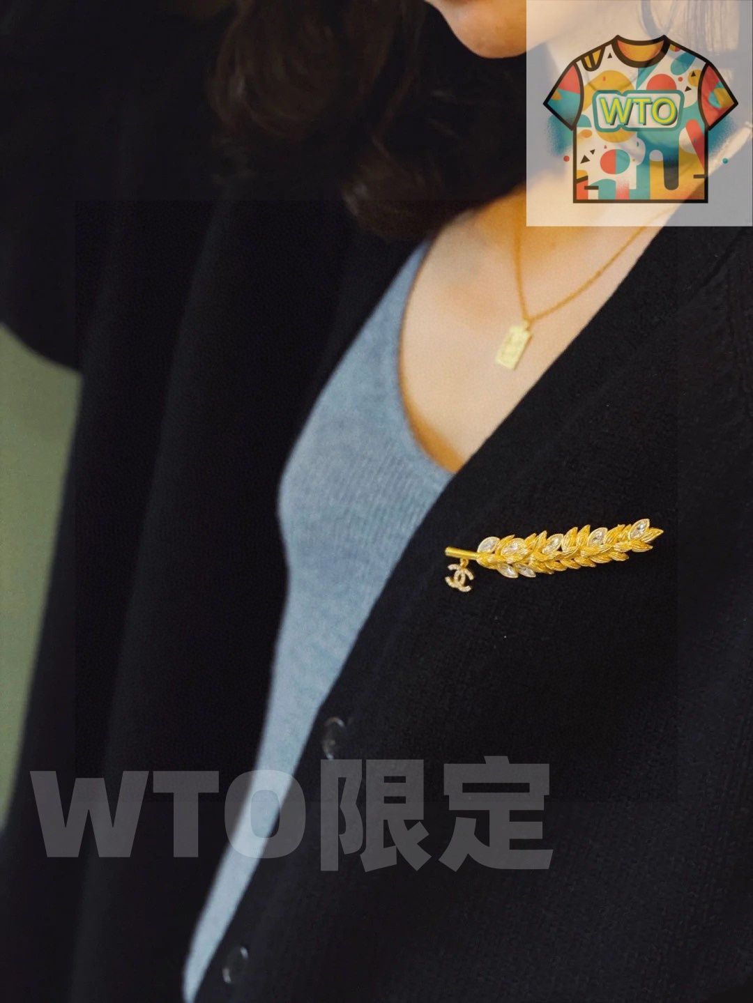 WTO通販 Chanel シャネル 新入荷 麦穂型 スイスサイン ブローチ-WTO輸入-ATK04