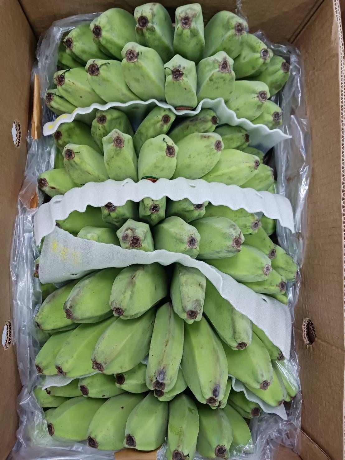 straykids ハン スキズ ODDINARY Makestar