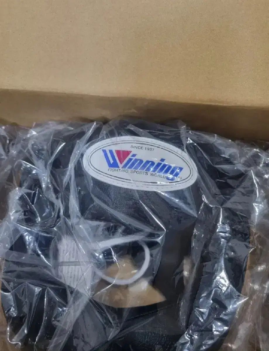 コ保護 ヘッドギア