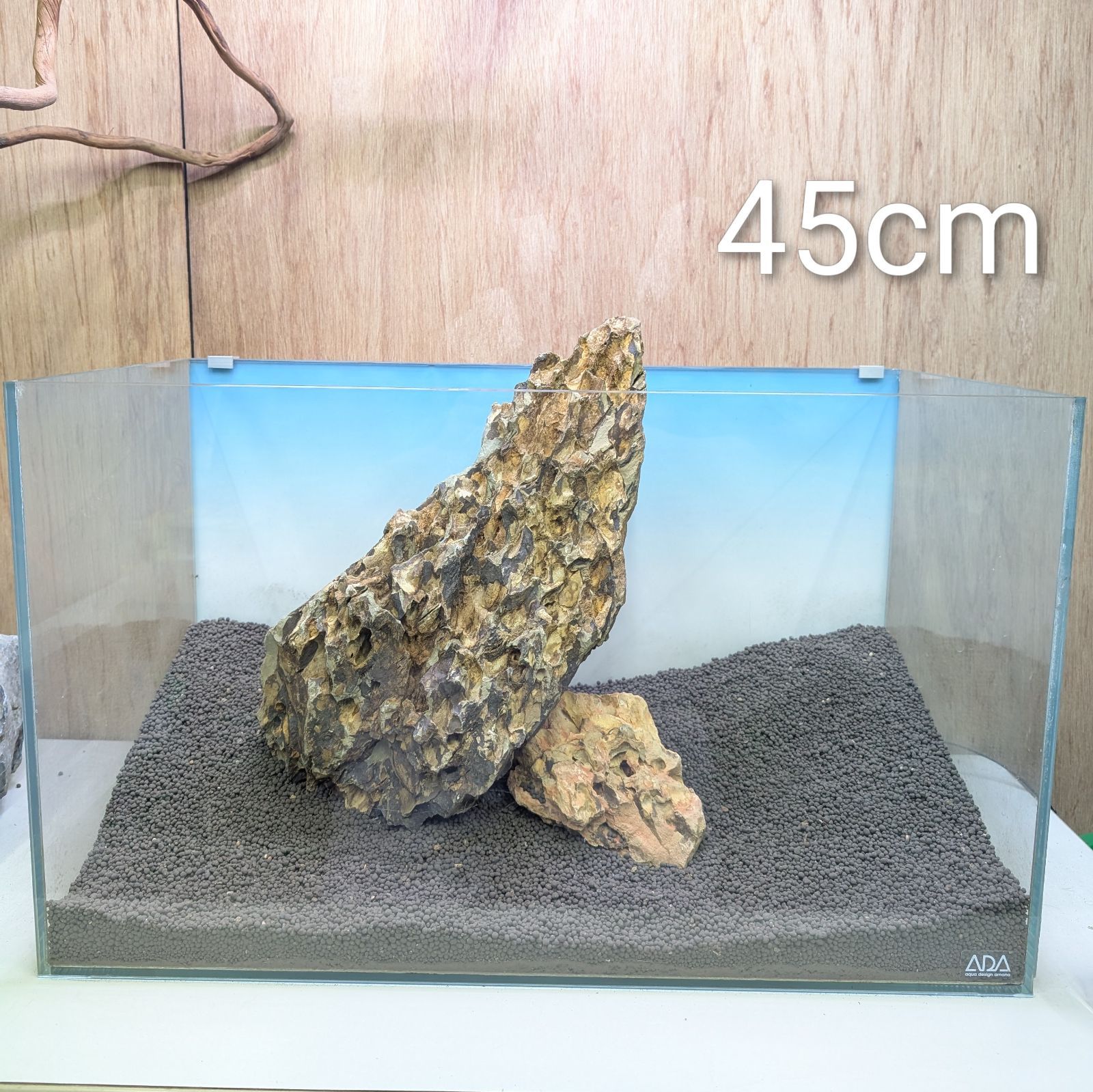 気孔石❖｜ ｜親石｜特大展示クラス45 cm｜石組レイアウト｜ mmdsaqua