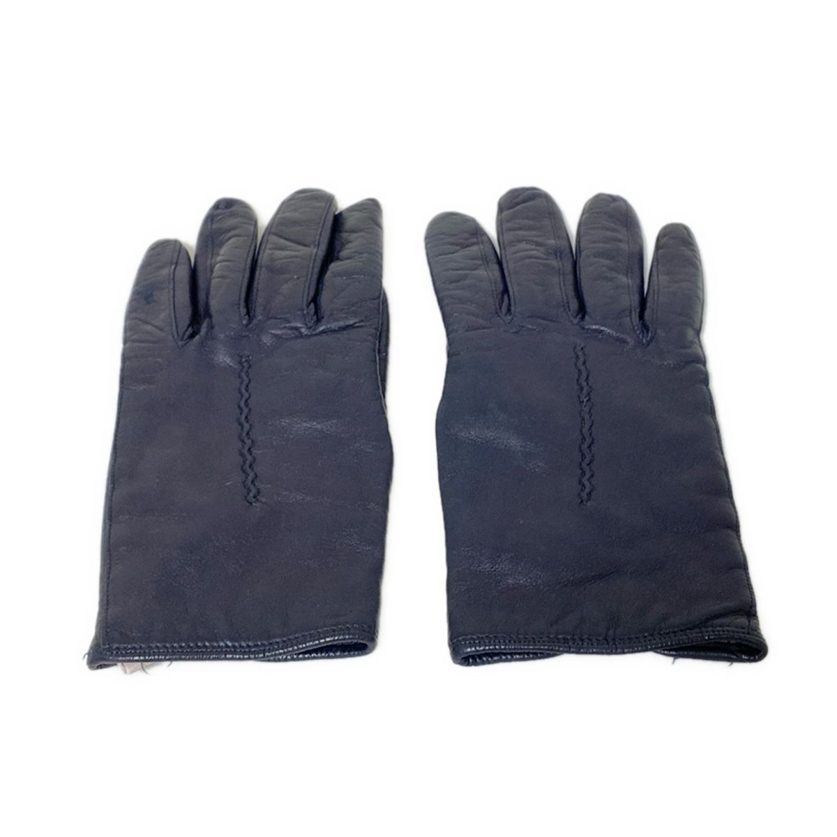 セルモネータグローブス