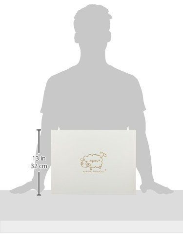 agney お食い初め トレーセット 国産 天然竹製 食洗機対応 モダンタイプ