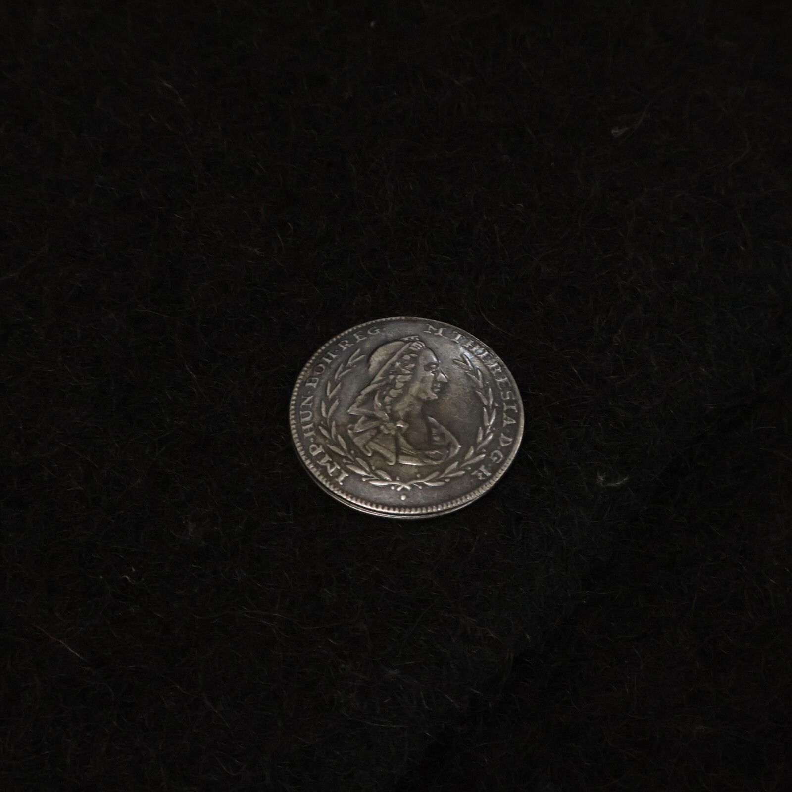 HOFER ホッファー