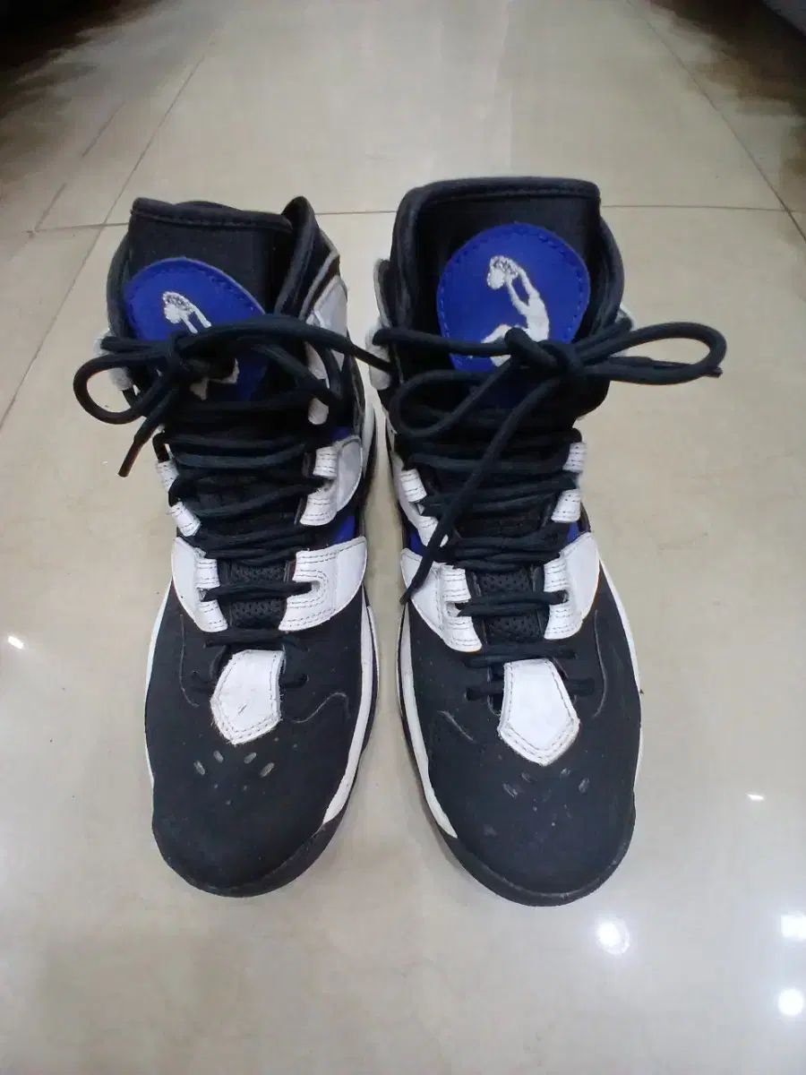 リーボック シャーク4 バスケシューズ 245 mm