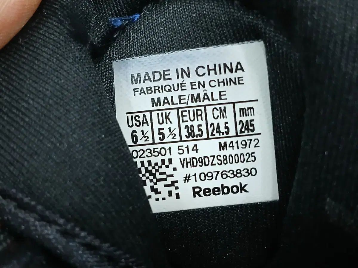 バスケシューズ 245