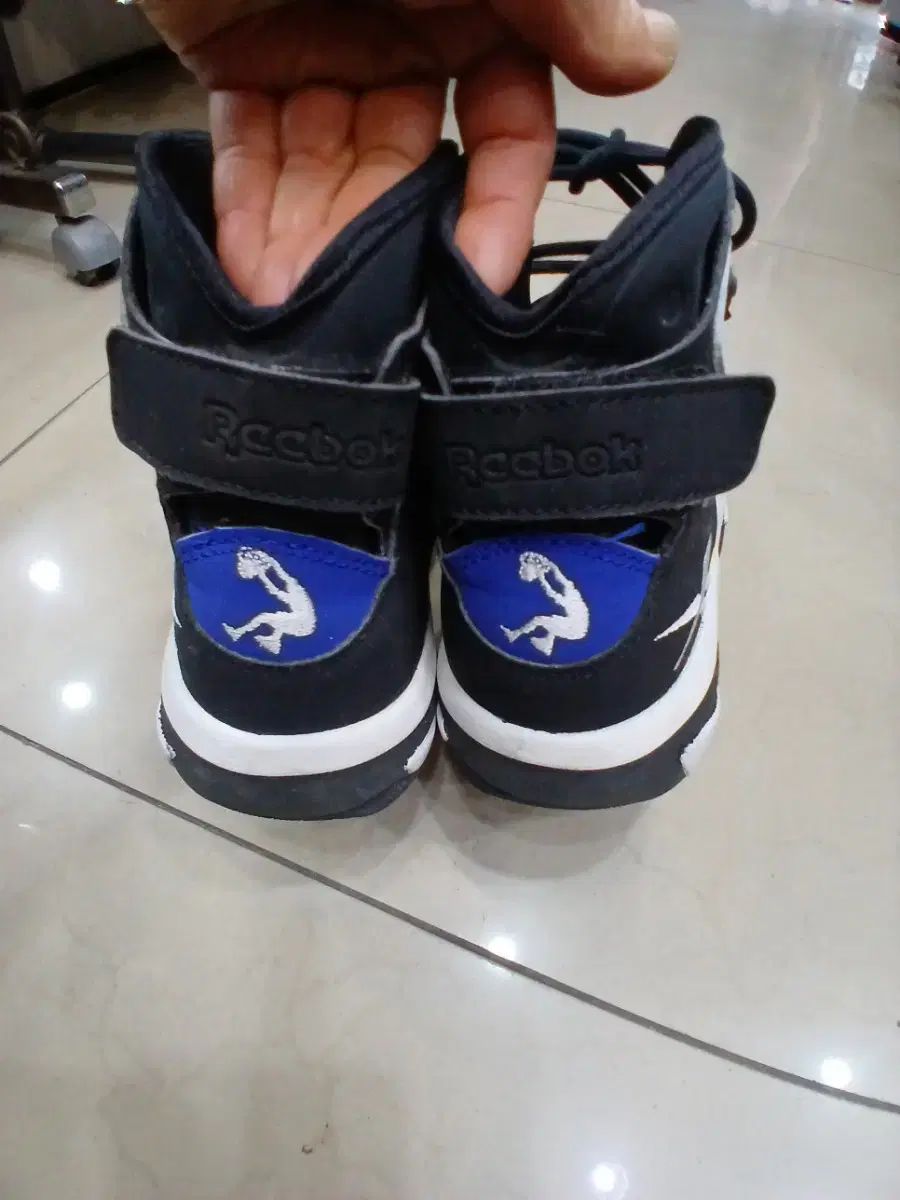  リーボック シャーク4 バスケシューズ 245 mm シューズ(男性用) バスケットボール