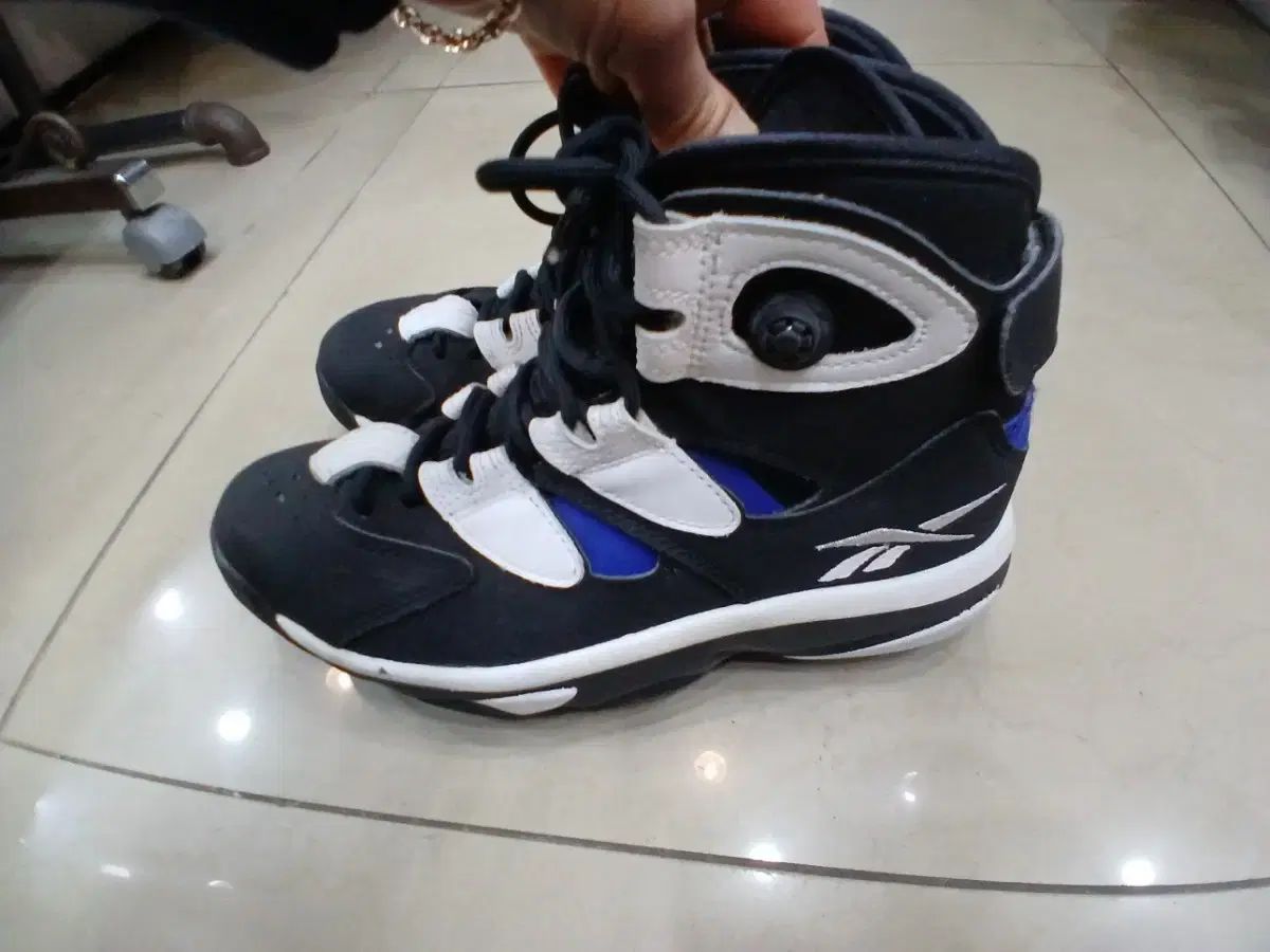 バスケシューズ 245