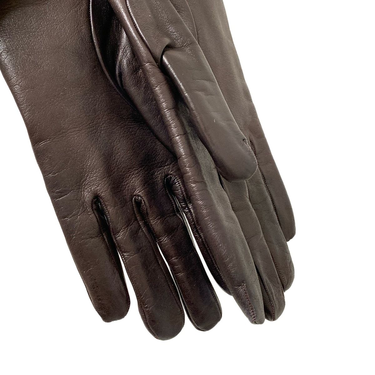 セルモネータグローブス