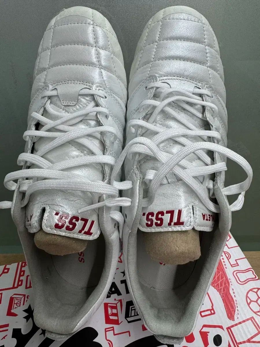 270 アスレタ TLSS mg 001