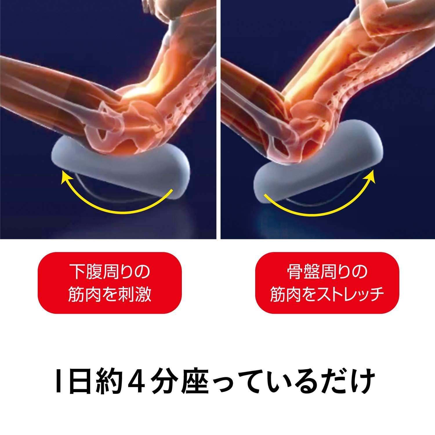 プロイデア 腹筋グッズ