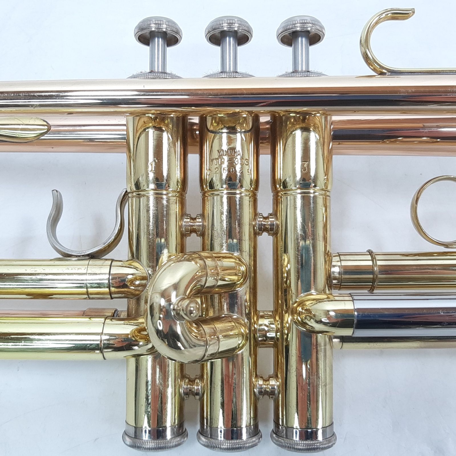 マウスピース ハードケース付き