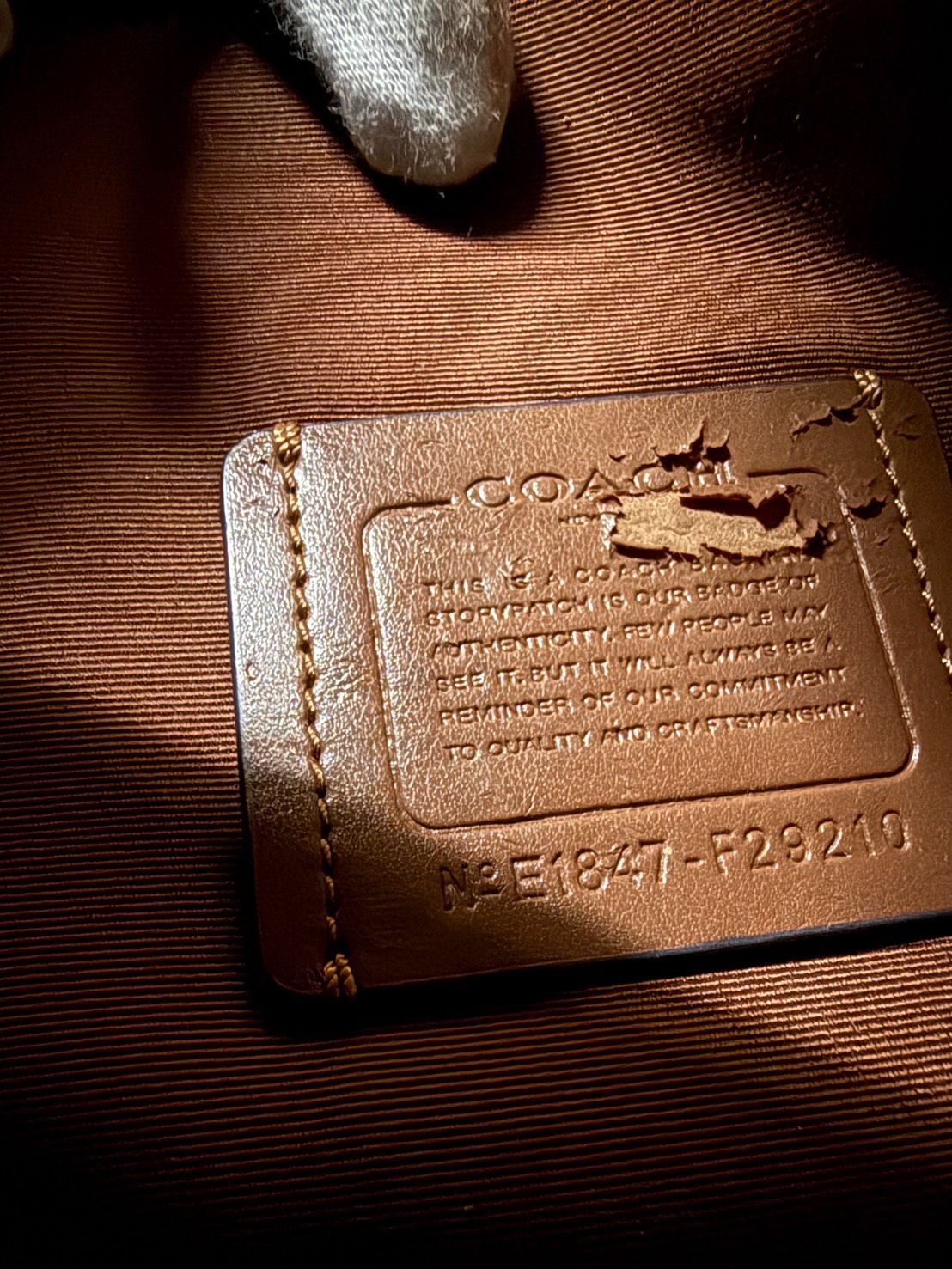 ウィメンズ ファッション