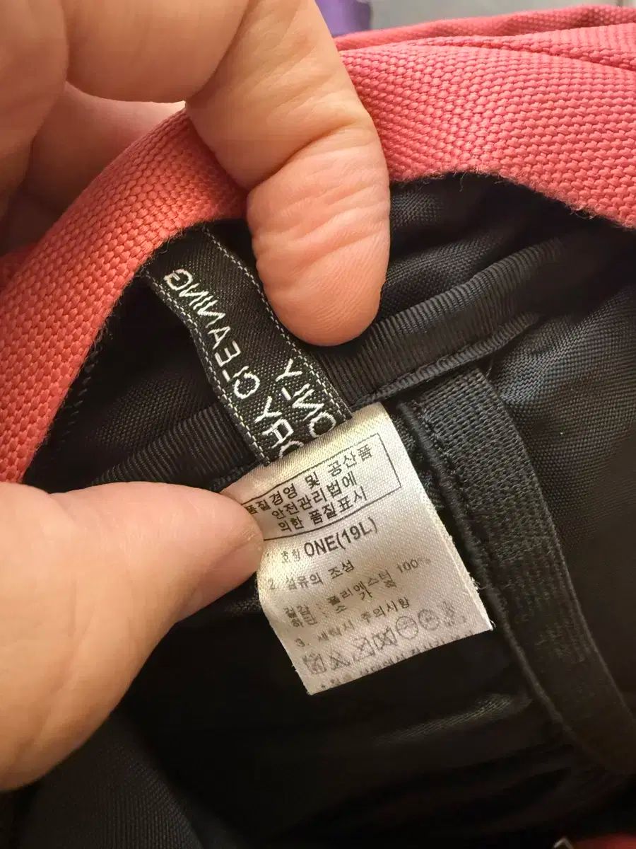  THE NORTH FACE ザノースフェイス バックパック 19 L ピンク リュック バックパック バッグ