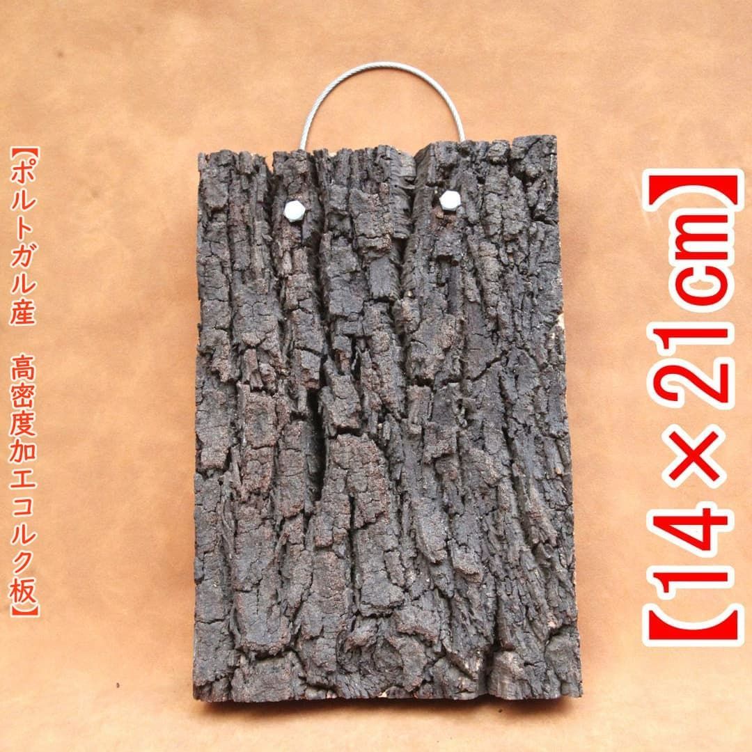 Q681 ポルトガル産 厚め コルク樹皮 コルク板 バージンコルク 送料無料