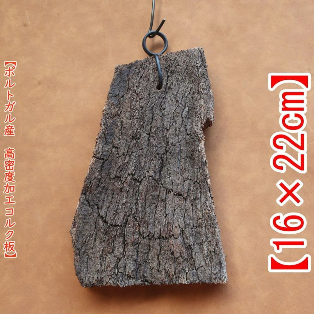 コルク樹皮　ビカク板付　６枚セット A621 ポルトガル産 高密度加工コルク板 コルク樹皮 バージンコルク