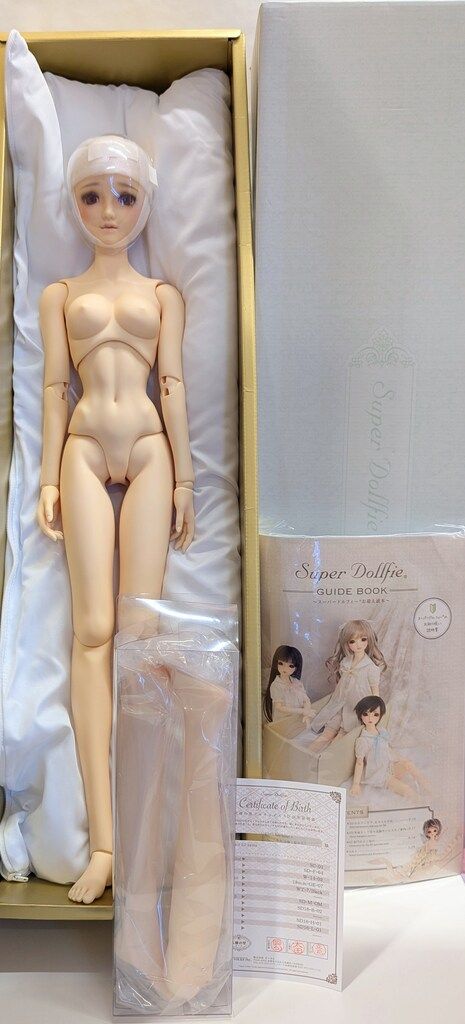 ボークス フルチョイス SD 16女の子 F 64 ノーマル肌 オーダーメイク品