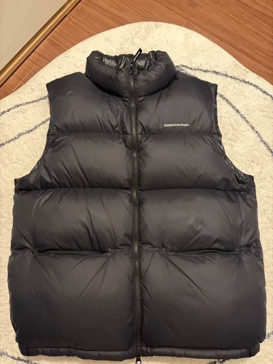 ディスイズネバーザット ダウン ベスト L