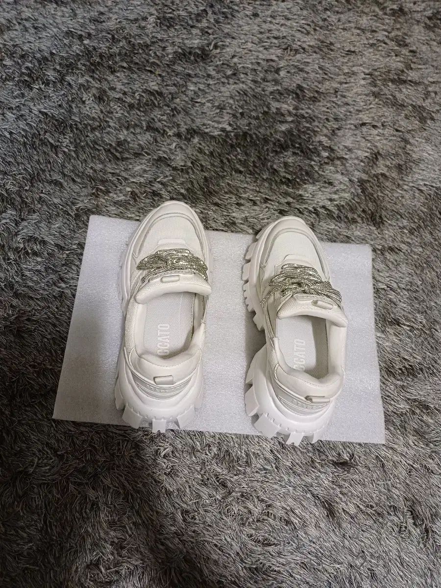 ウィメンズ スターカトー