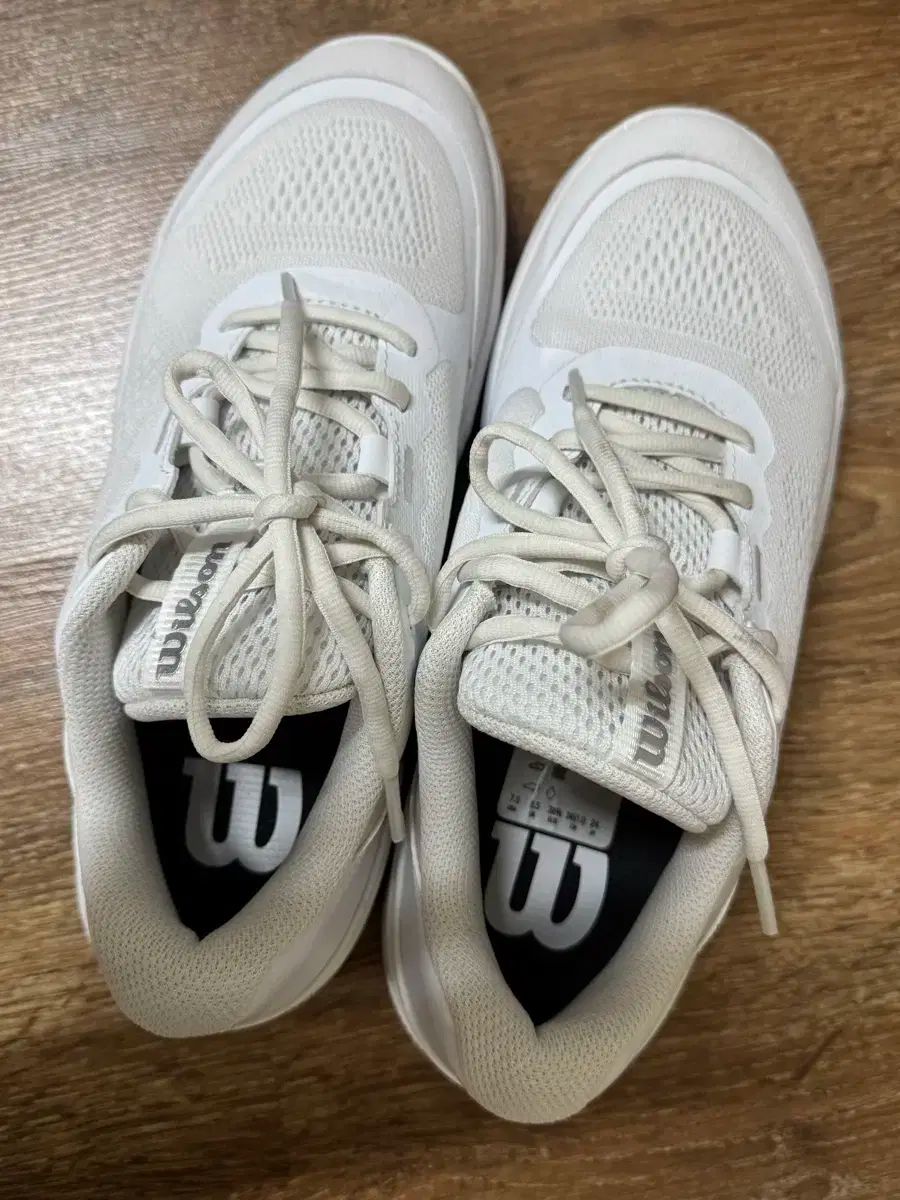 レディース テニスシューズ ウィルソン INTRISH PRO