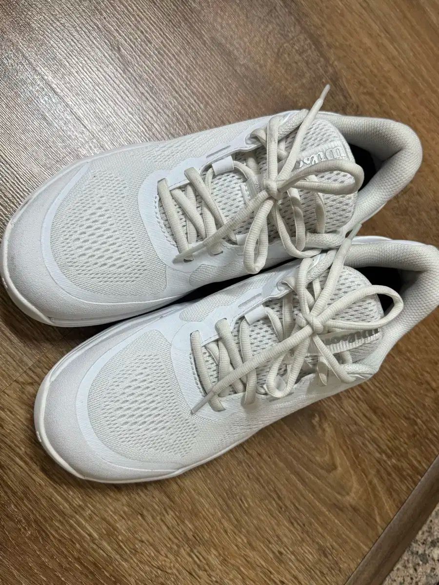 レディース テニスシューズ ウィルソン INTRISH PRO