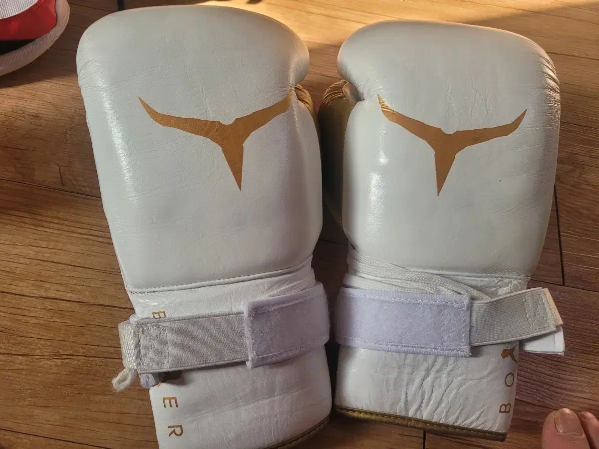 トゥイスコ 504 14オンス ボクシンググローブ