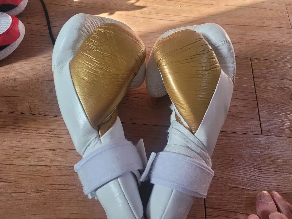  トゥイスコ 504 14オンス ボクシンググローブ その他 ボクシング