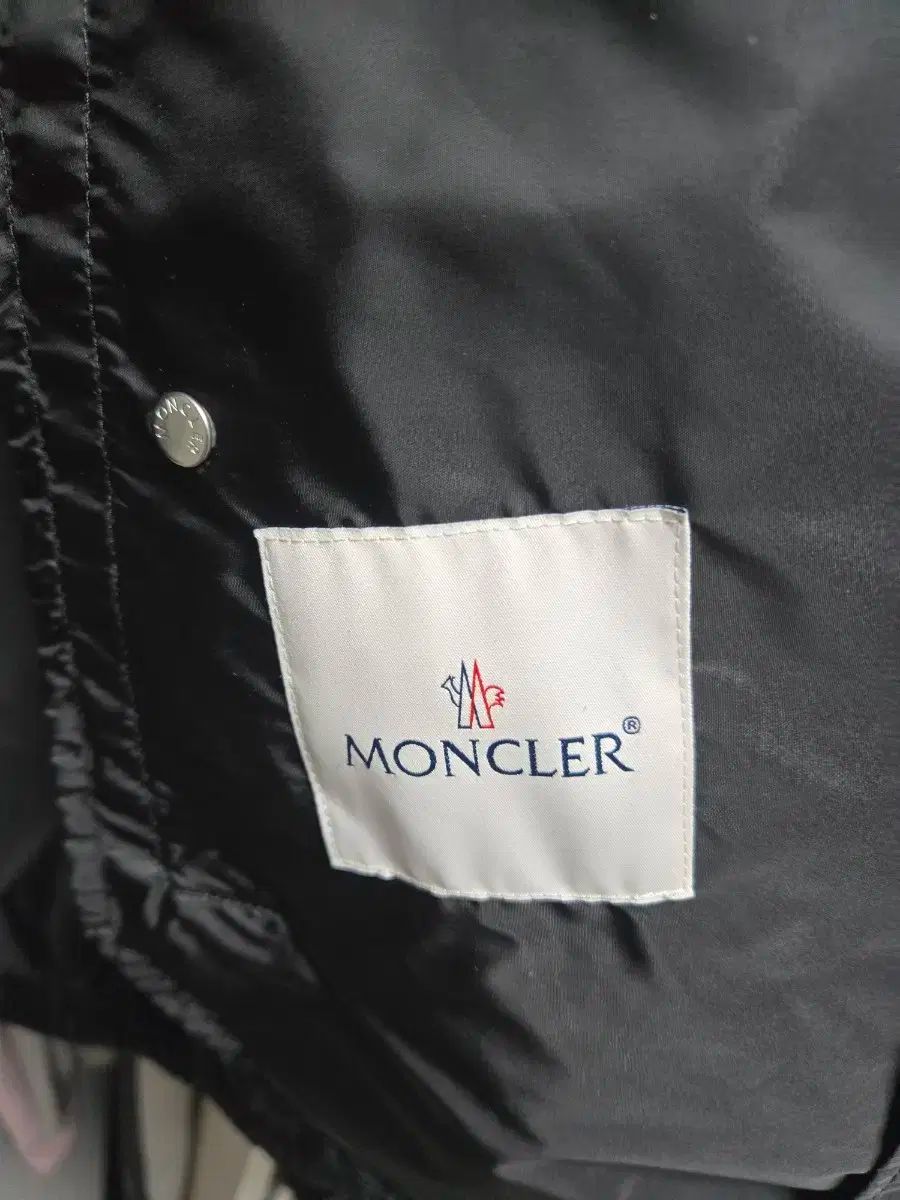 絵プーファーアグ