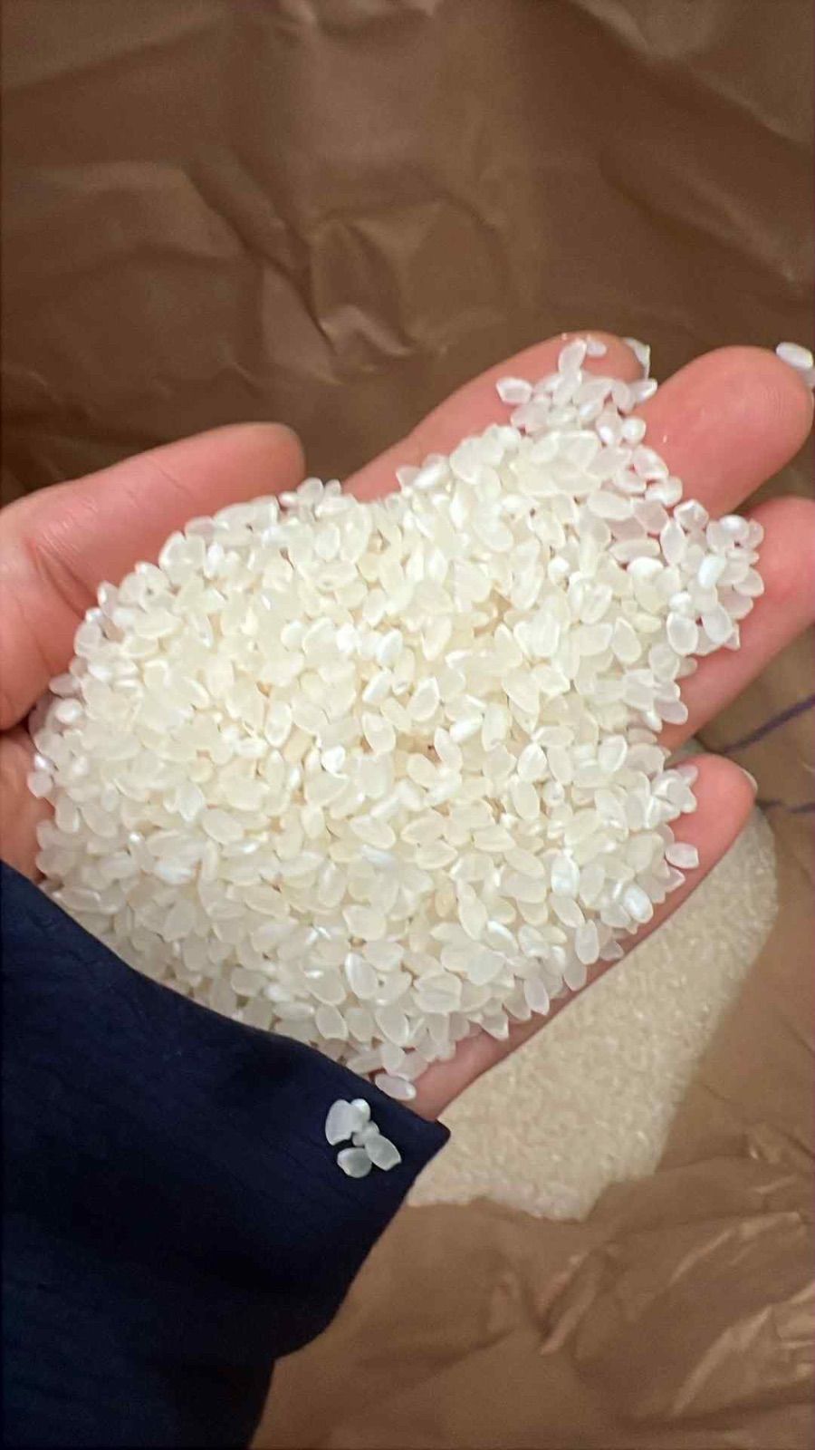 R7新米コシヒカリ30kg 玄米・精米無料 送料無料 - メルカリ