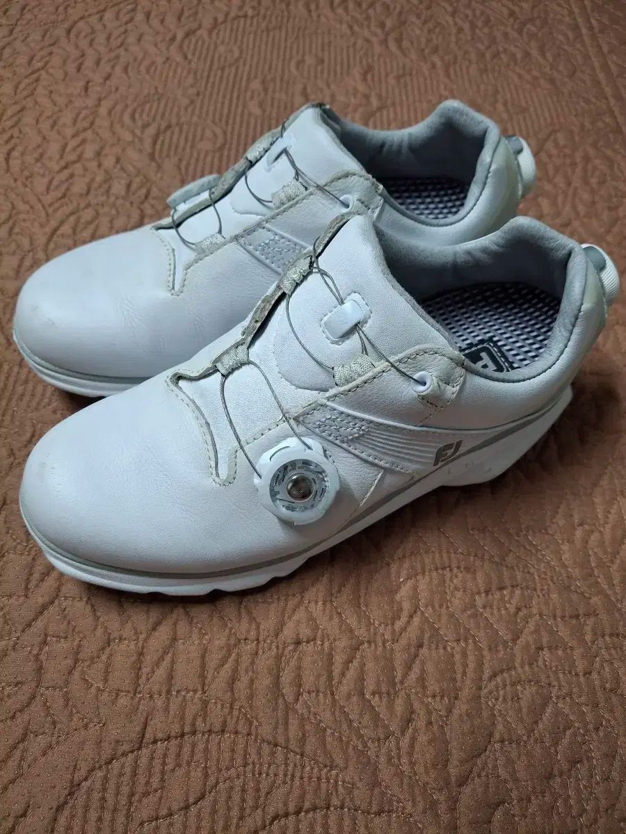 220 FootJoy レディース ゴルフシューズ 220 2073