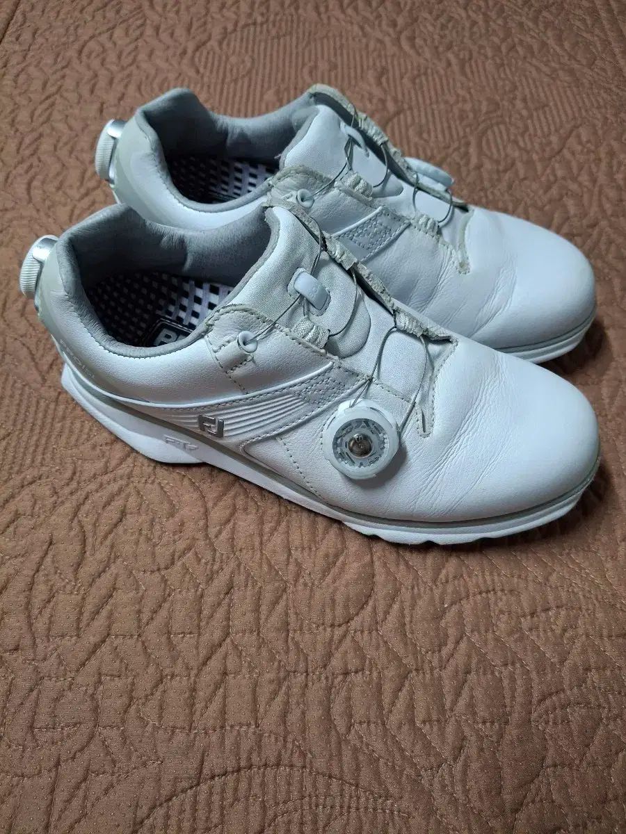 220 FootJoy レディース ゴルフシューズ 2073