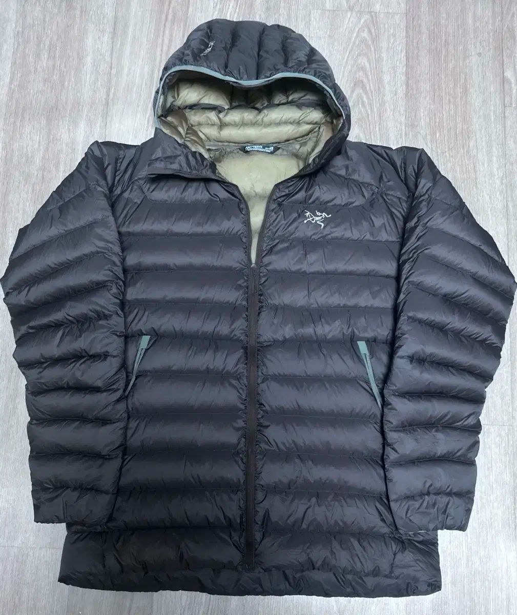 ARC TERYX Ceriumフーディ ビターズ L