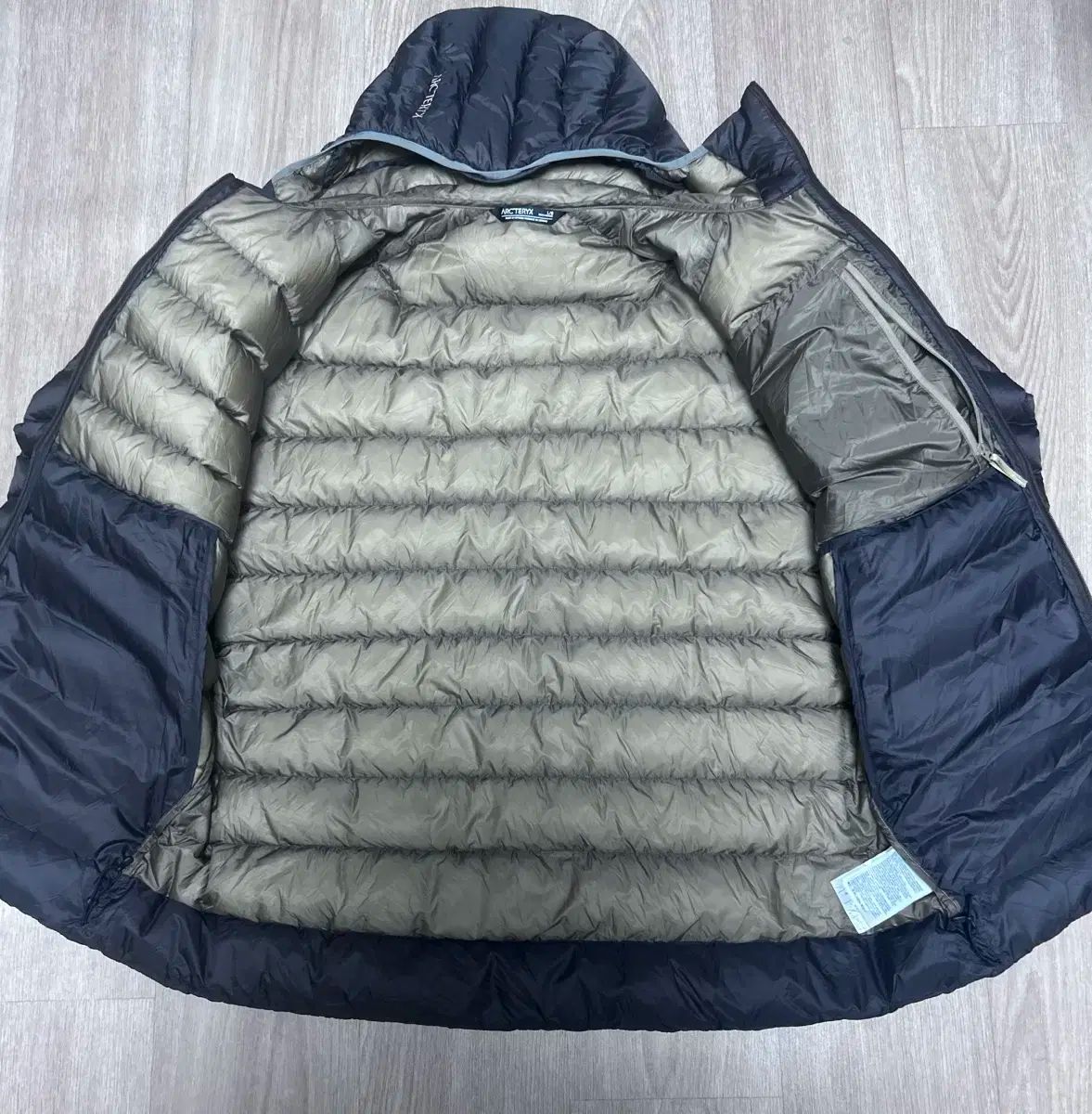 ARC TERYX Ceriumフーディ ビターズ L