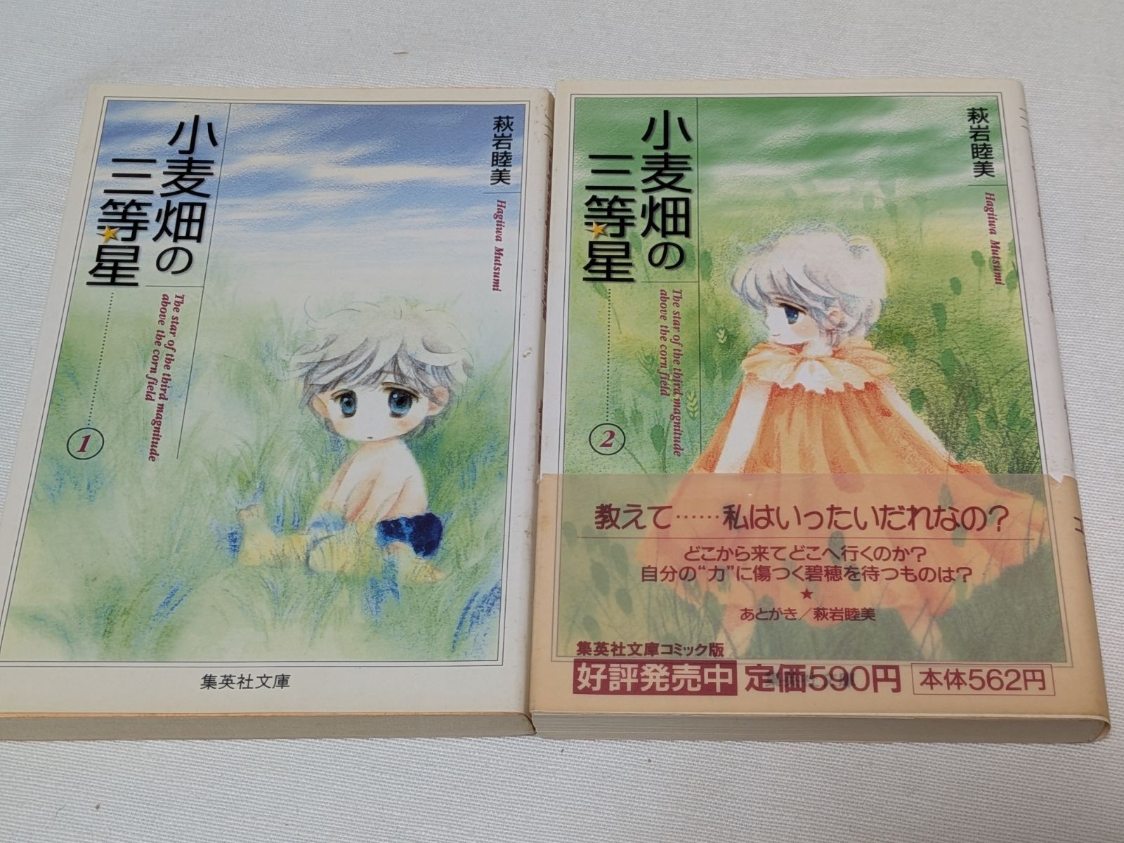 小麦畑の三等星☆萩岩睦美☆文庫版コミック☆2巻完結セット - メルカリ
