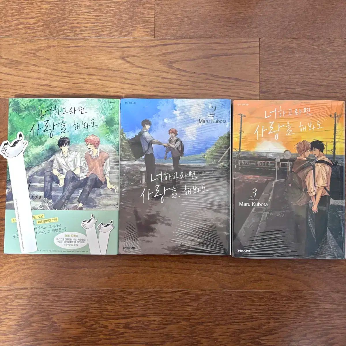 高品質 日本山岳会 覆刻日本の山岳名著 保護函シリーズ