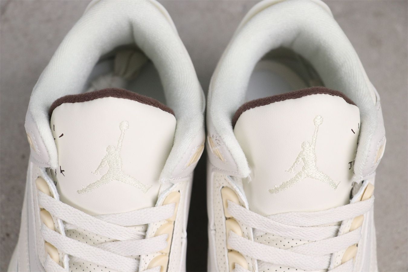 スコット コラボ