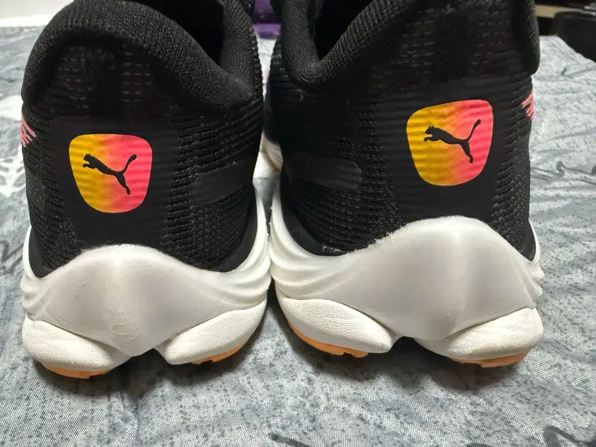 プーマ ベロシティ ニトロ 3 ランニングシューズ 245mm