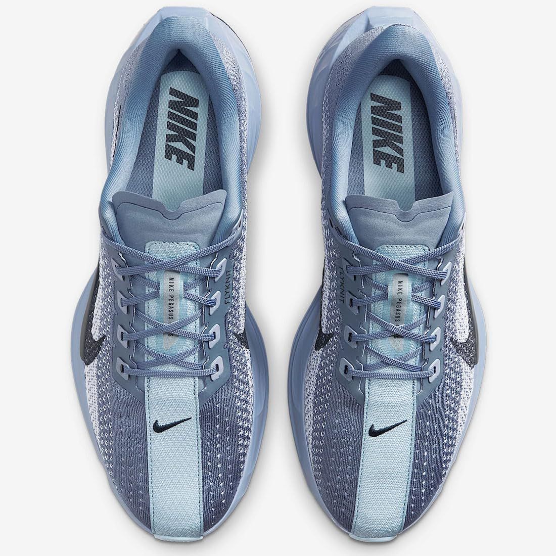 ナイキ ペガサス