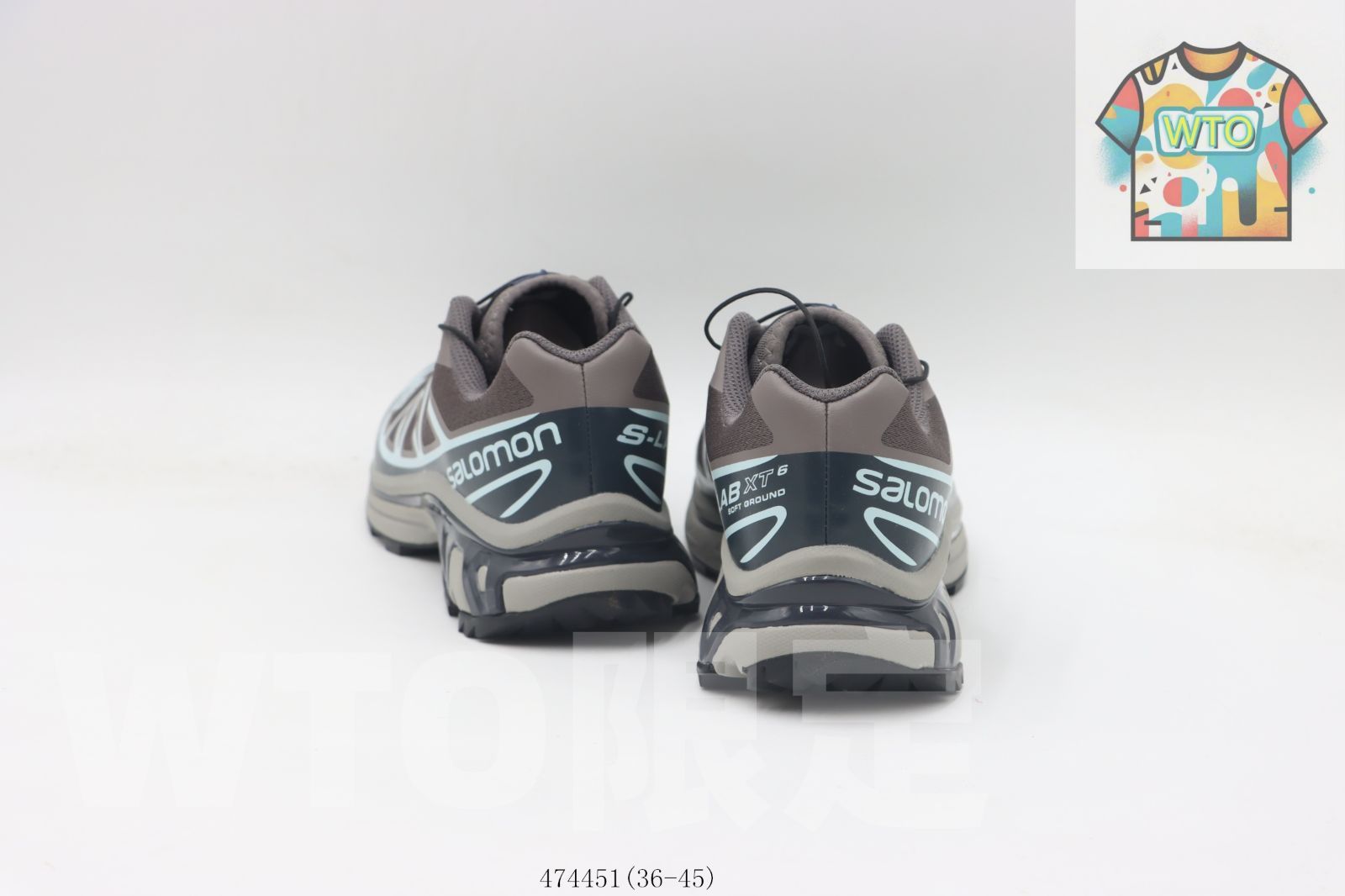 サロモン ブラウン