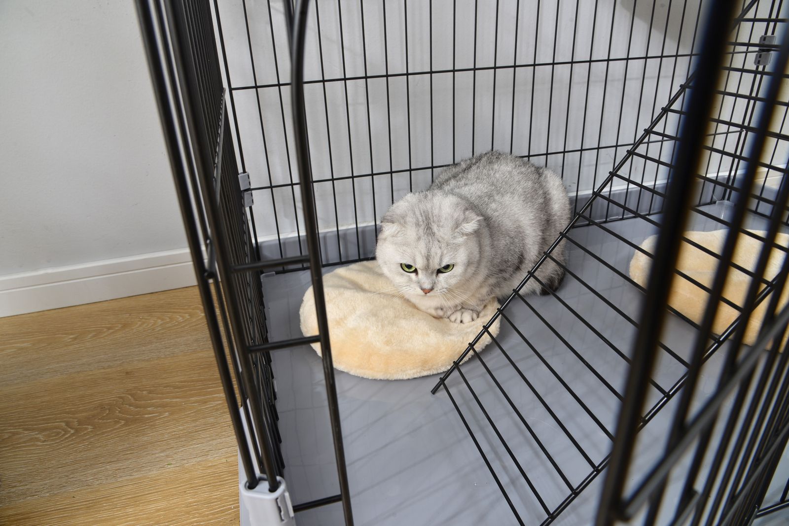  2個 おしゃれ 猫 ケージ キャットケージ 3段 猫ゲージ おしゃれ キャットハウス ネコ ハウス 多段 留守番 保護 脱走防止 多頭飼いペットケージ グレー S リクライニングソファ北欧 2人掛け 3人掛けソファ ソファ ソファベッド