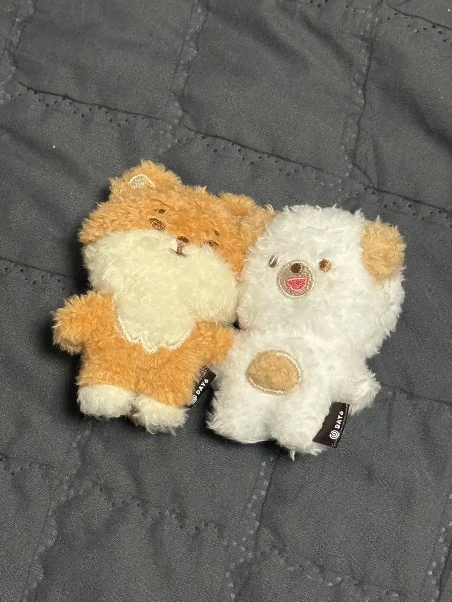 DAY6 デニマルズ DENIMALZ マグネット ケドン