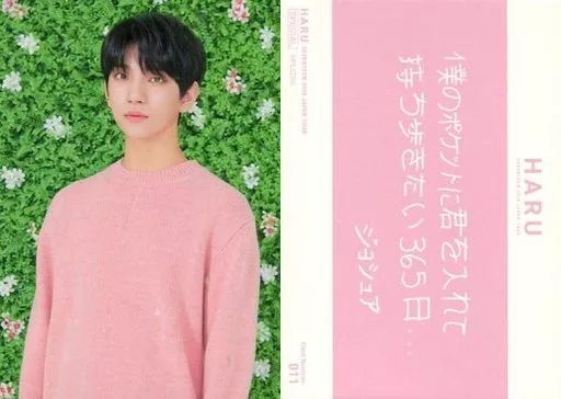 SEVENTEEN Joshua ホログラフィックタレントカード SEVENTEEN JOSHUA