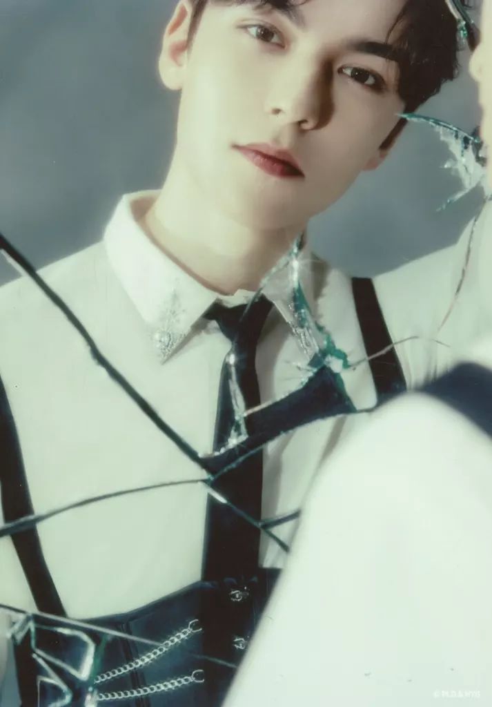 r*o様 SEVENTEEN FML サイン入り生写真 VERON バーノン r*o様 SEVENTEEN FML サイン入り生写真 VERON バーノン SEVENTEEN