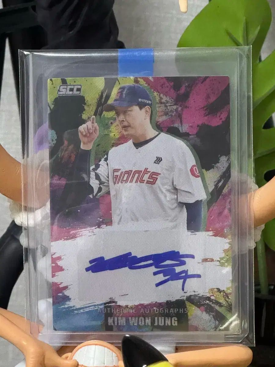 2025 ロッテ キム ウォンジュン サイン入り 野球 カード