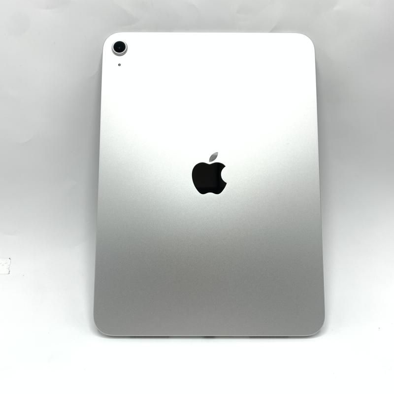 WiFiモデル iPad A16 WiFi 128GB シルバー 10