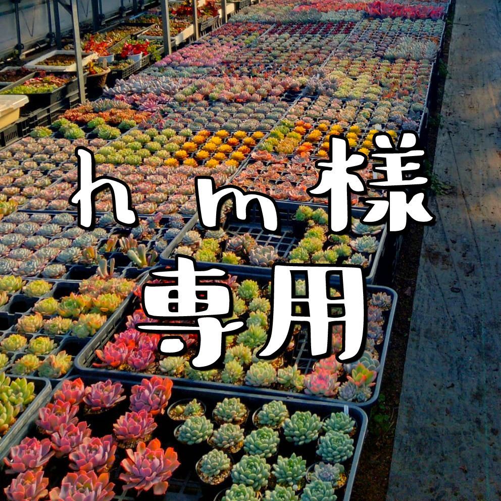 renecell☆ バラ売り⭕️可能 hm様専用 - メルカリ