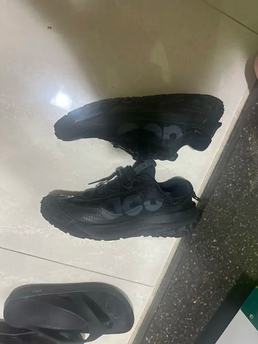 acgマウンテンフライ 2 ロー ブラック 280