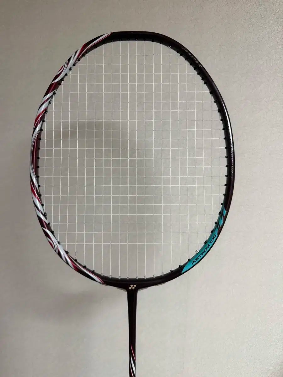 ASTROX アストロクス 100zz 4u クレナイ